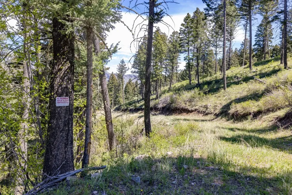 15 Ac Elk Ridge Road Livingston MT 59047