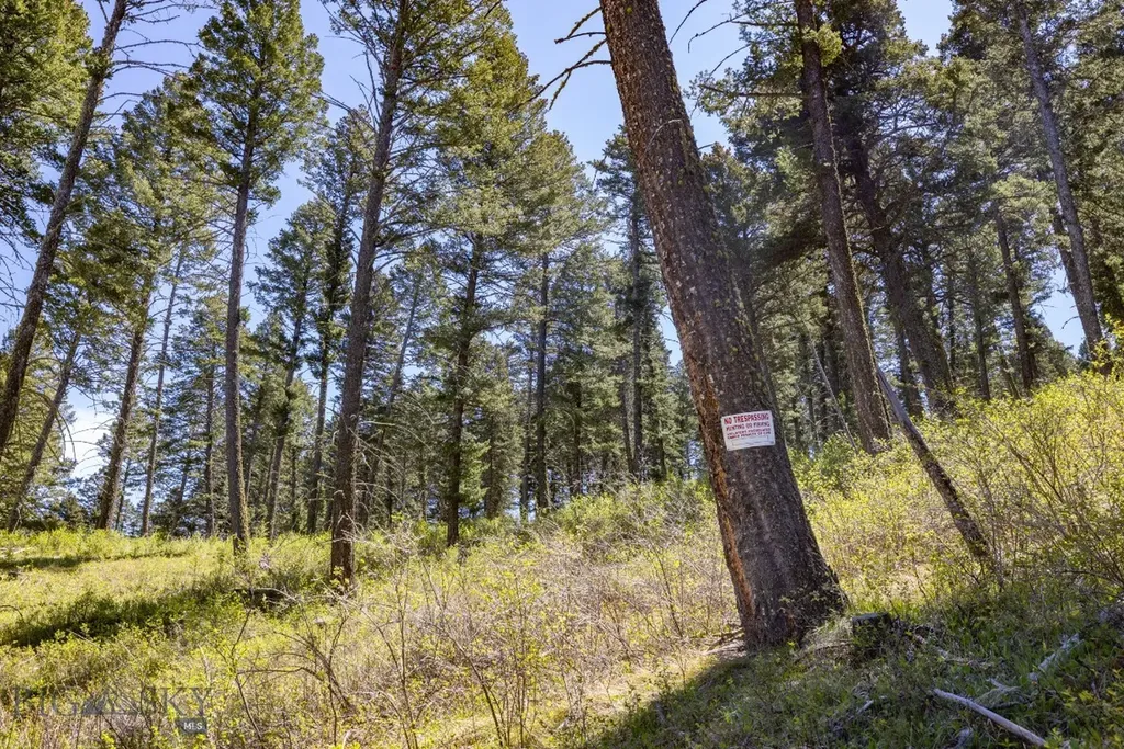 15 Ac Elk Ridge Road Livingston MT 59047