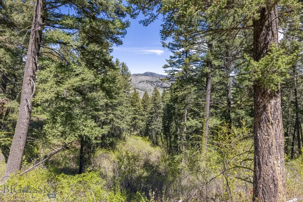 15 Ac Elk Ridge Road Livingston MT 59047