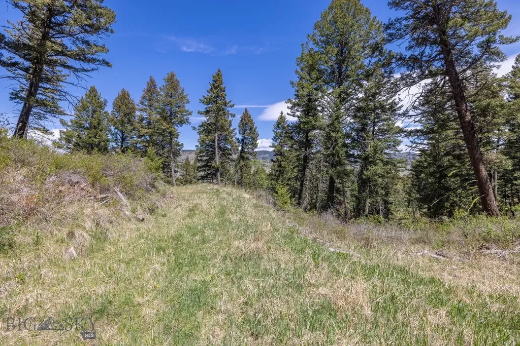 15 Ac Elk Ridge Road Livingston MT 59047