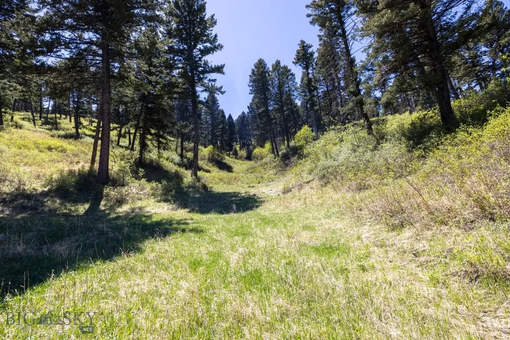 15 Ac Elk Ridge Road Livingston MT 59047