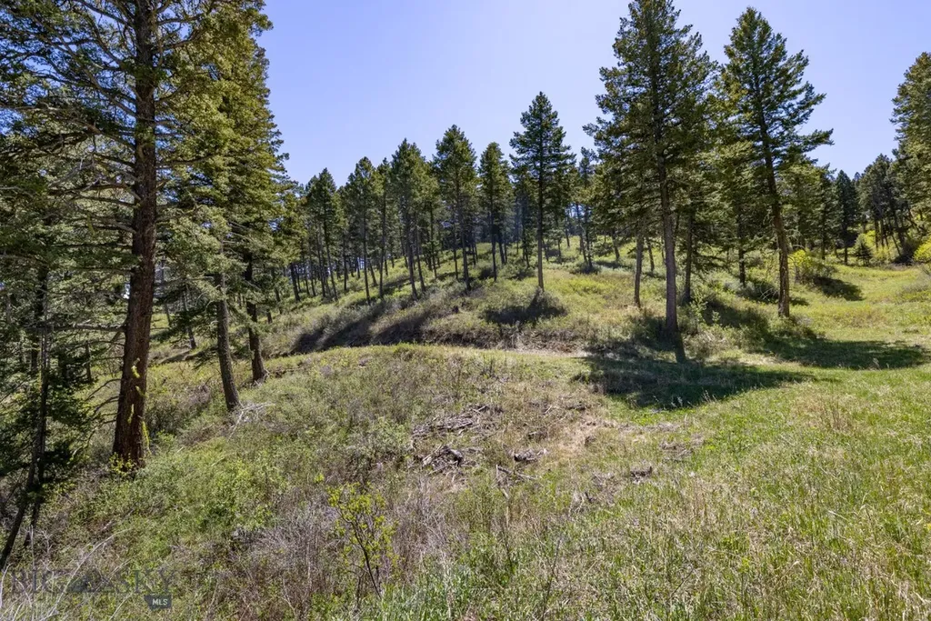 15 Ac Elk Ridge Road Livingston MT 59047