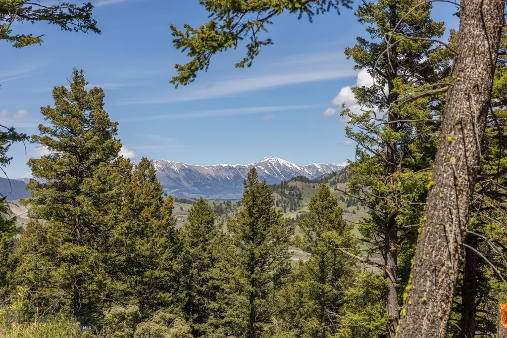 15 Ac Elk Ridge Road Livingston MT 59047