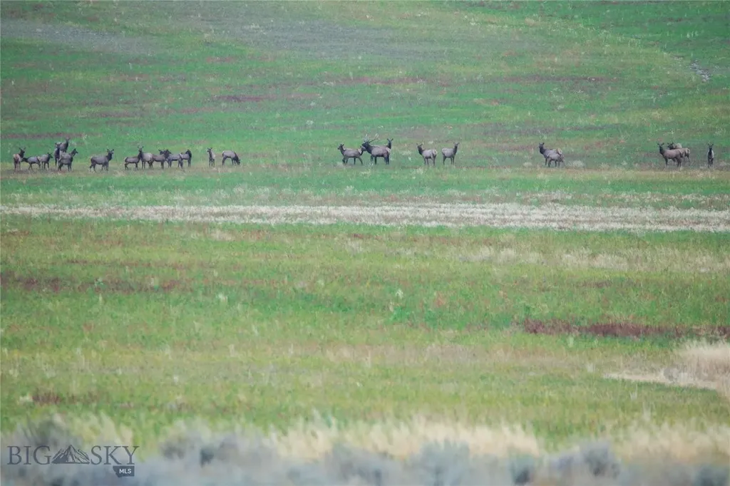 Tbd Skinner Road Belgrade MT 59714