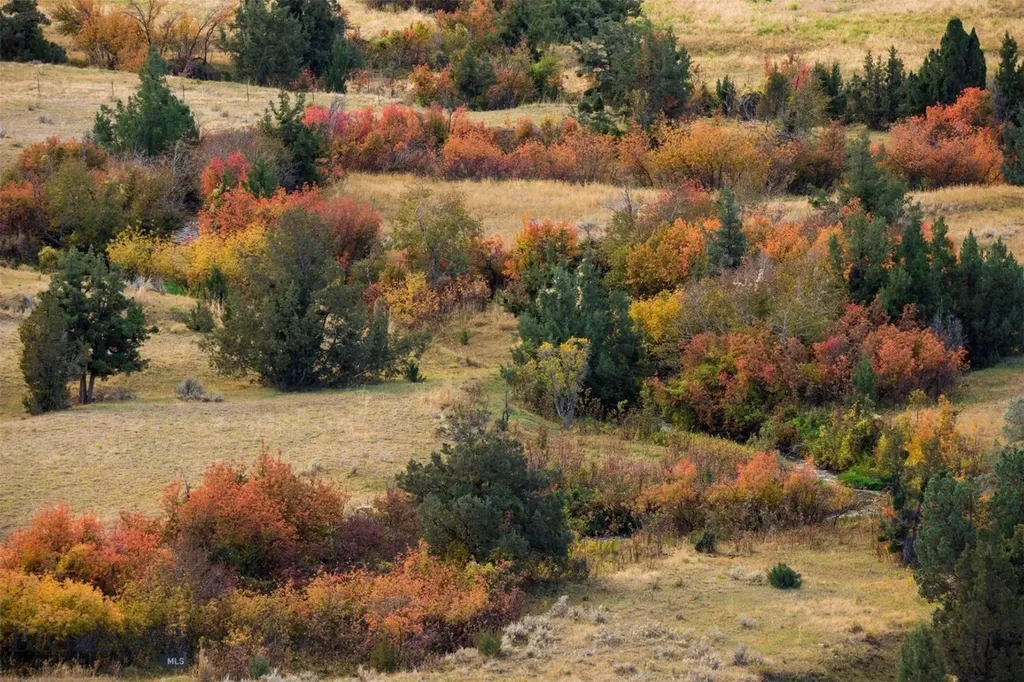 Tbd Skinner Road Belgrade MT 59714