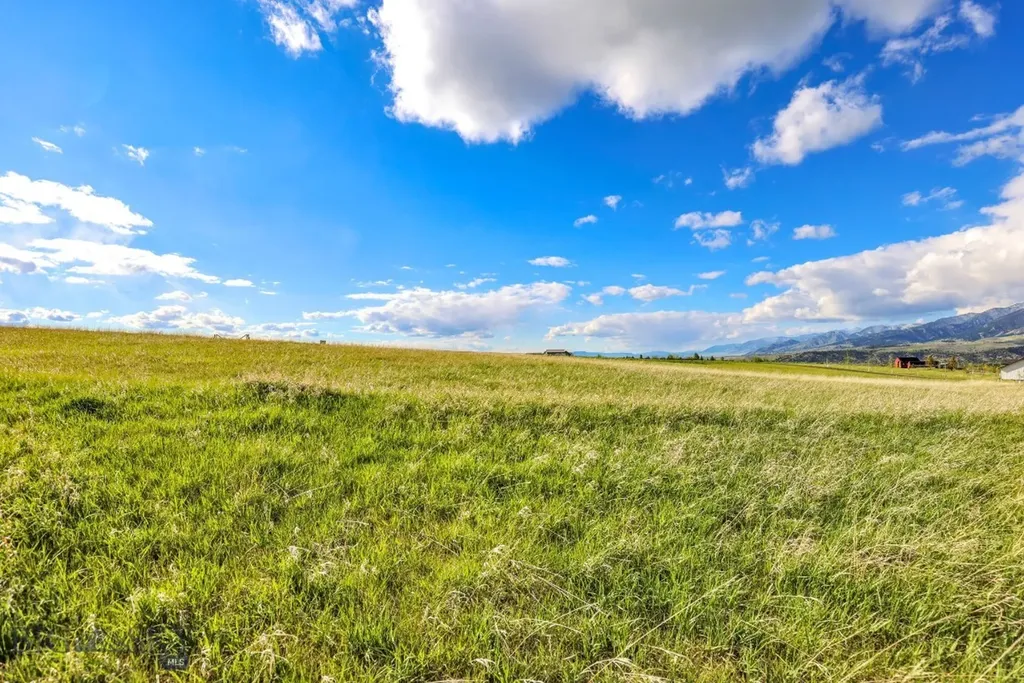 Tract 3a Mcgee Drive Bozeman MT 59715