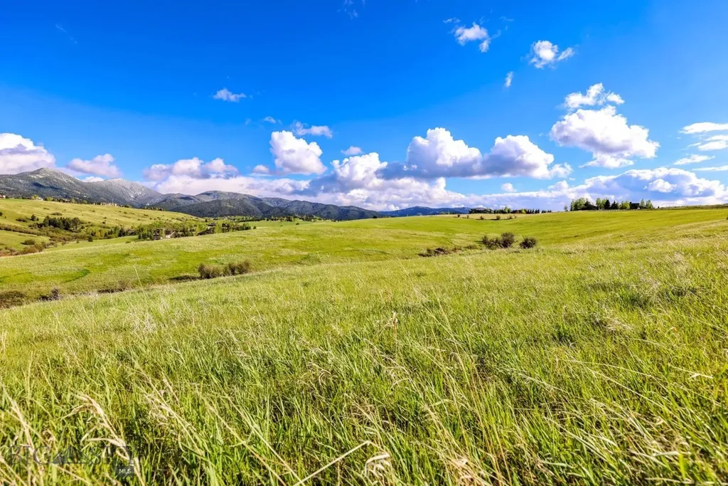 Tract 3a Mcgee Drive Bozeman MT 59715