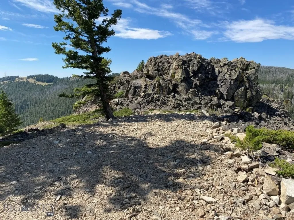 Tbd Indian Creek Road Townsend MT 59644
