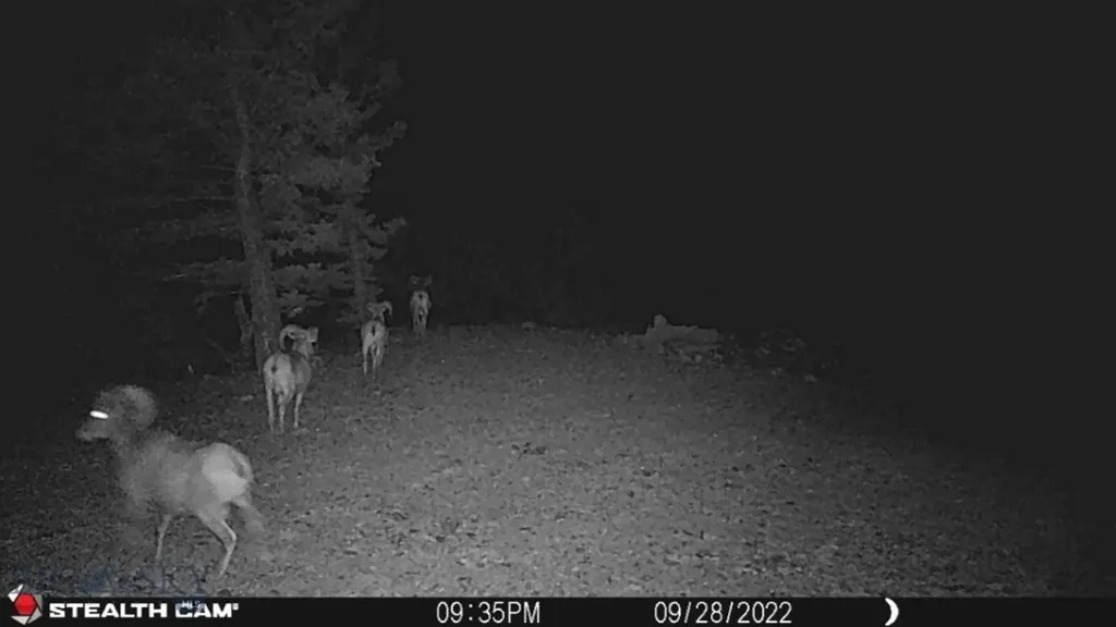 Tbd Indian Creek Road Townsend MT 59644