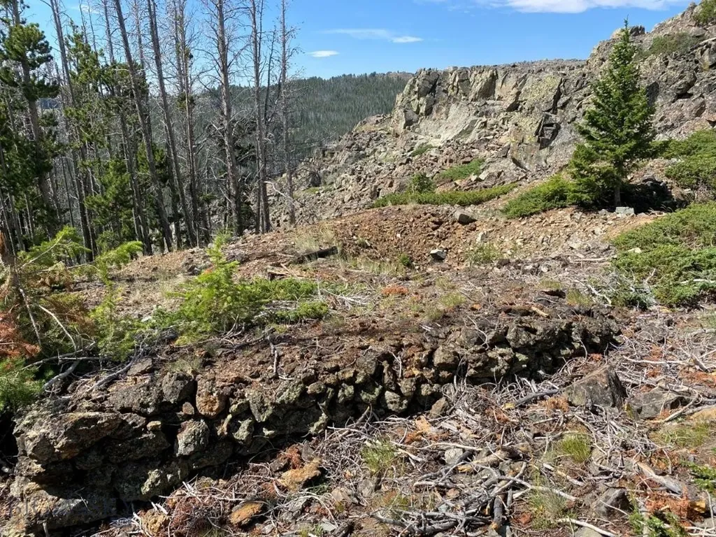 Tbd Indian Creek Road Townsend MT 59644