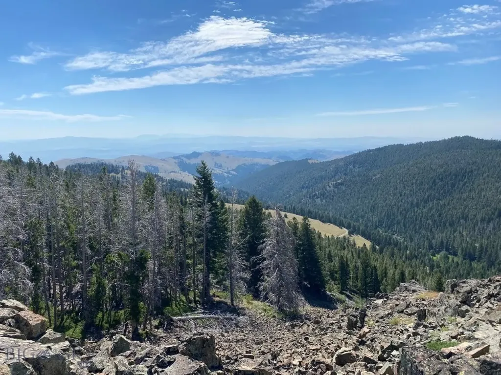 Tbd Indian Creek Road Townsend MT 59644