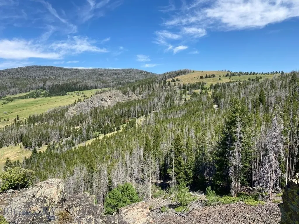 Tbd Indian Creek Road Townsend MT 59644