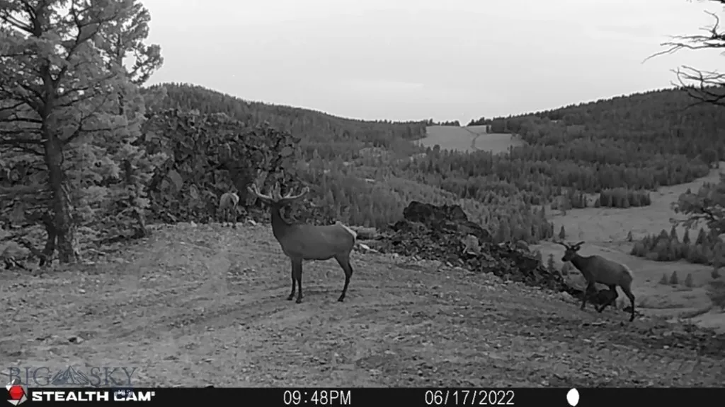 Tbd Indian Creek Road Townsend MT 59644