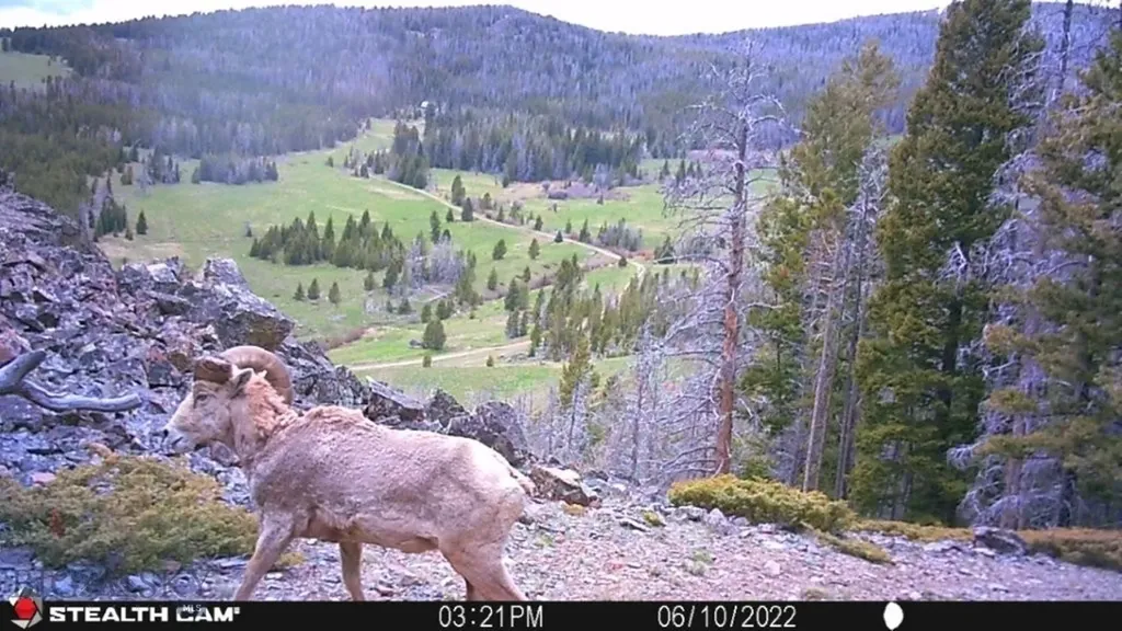 Tbd Indian Creek Road Townsend MT 59644