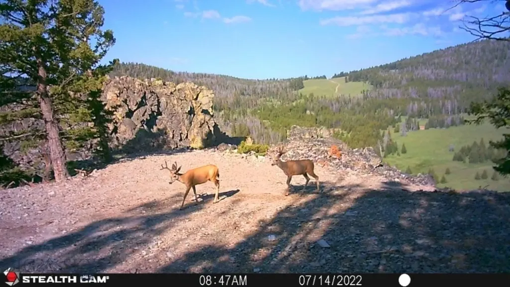 Tbd Indian Creek Road Townsend MT 59644
