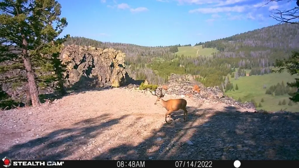 Tbd Indian Creek Road Townsend MT 59644