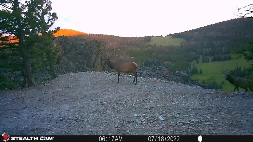 Tbd Indian Creek Road Townsend MT 59644