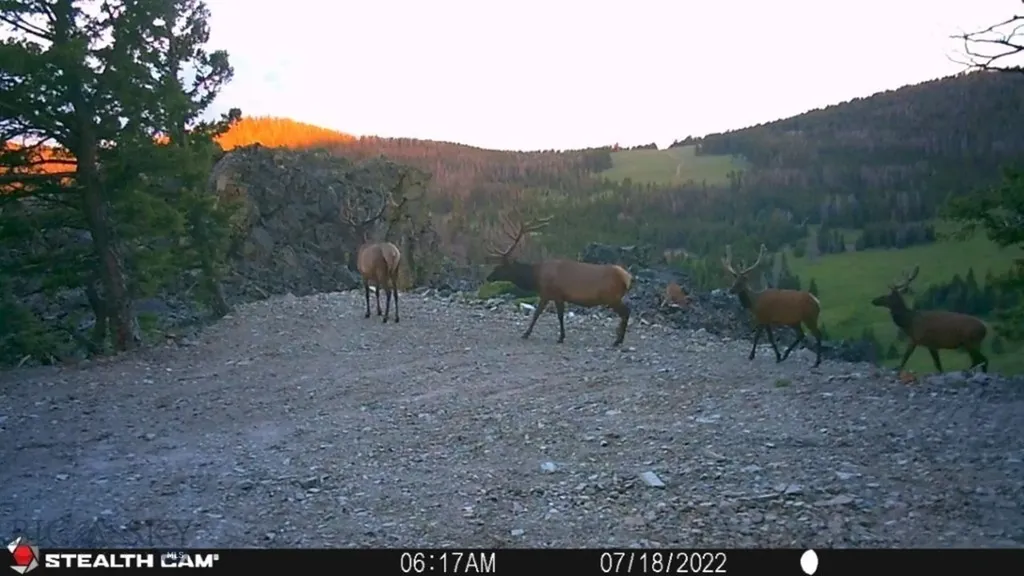 Tbd Indian Creek Road Townsend MT 59644