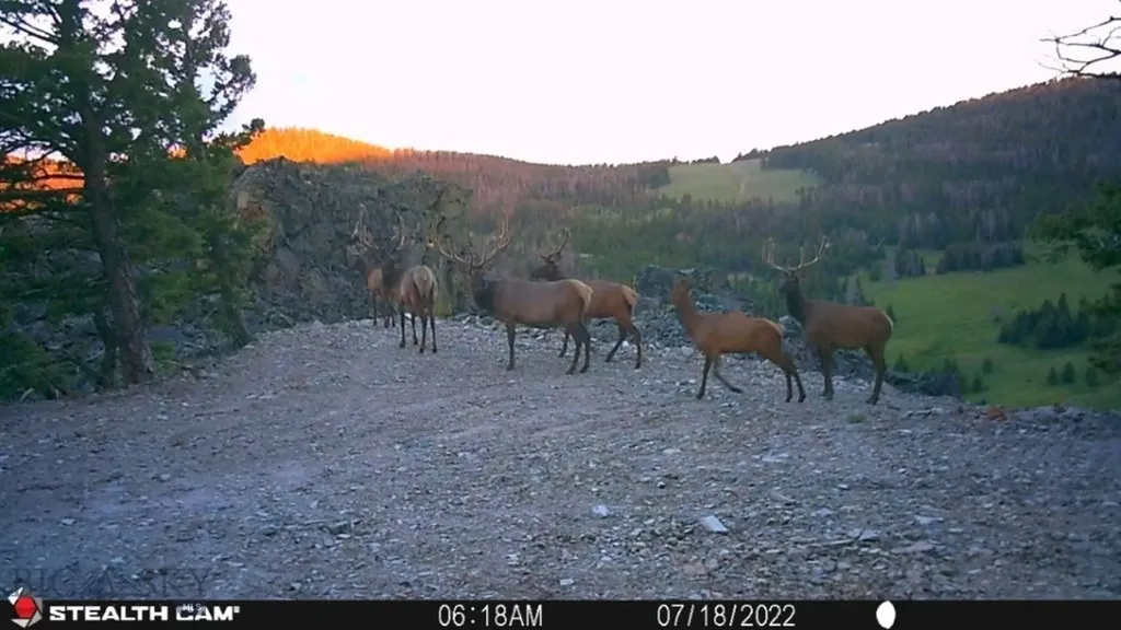 Tbd Indian Creek Road Townsend MT 59644
