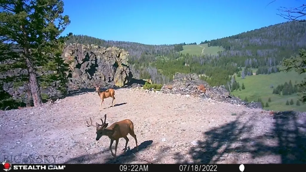 Tbd Indian Creek Road Townsend MT 59644