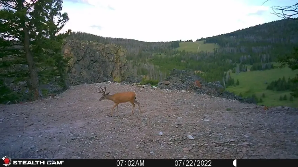 Tbd Indian Creek Road Townsend MT 59644