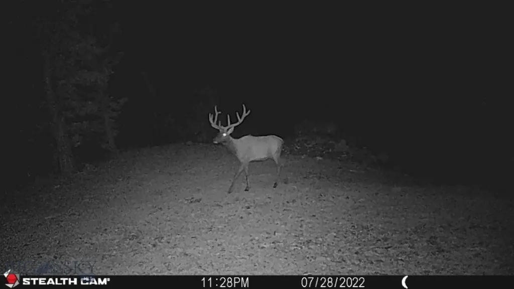 Tbd Indian Creek Road Townsend MT 59644