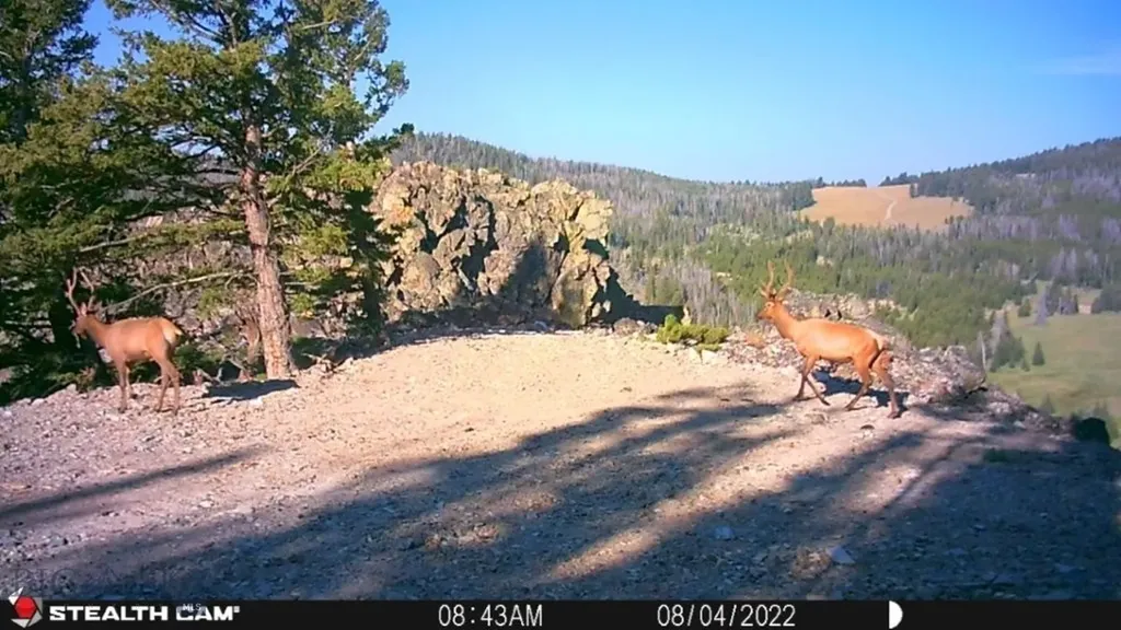 Tbd Indian Creek Road Townsend MT 59644