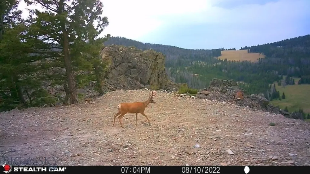 Tbd Indian Creek Road Townsend MT 59644