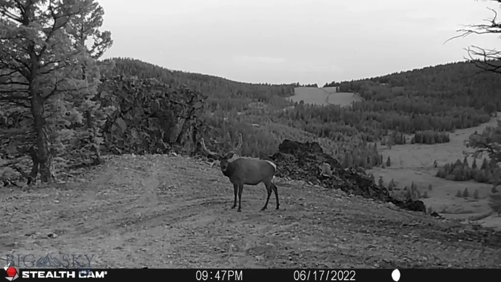Tbd Indian Creek Road Townsend MT 59644