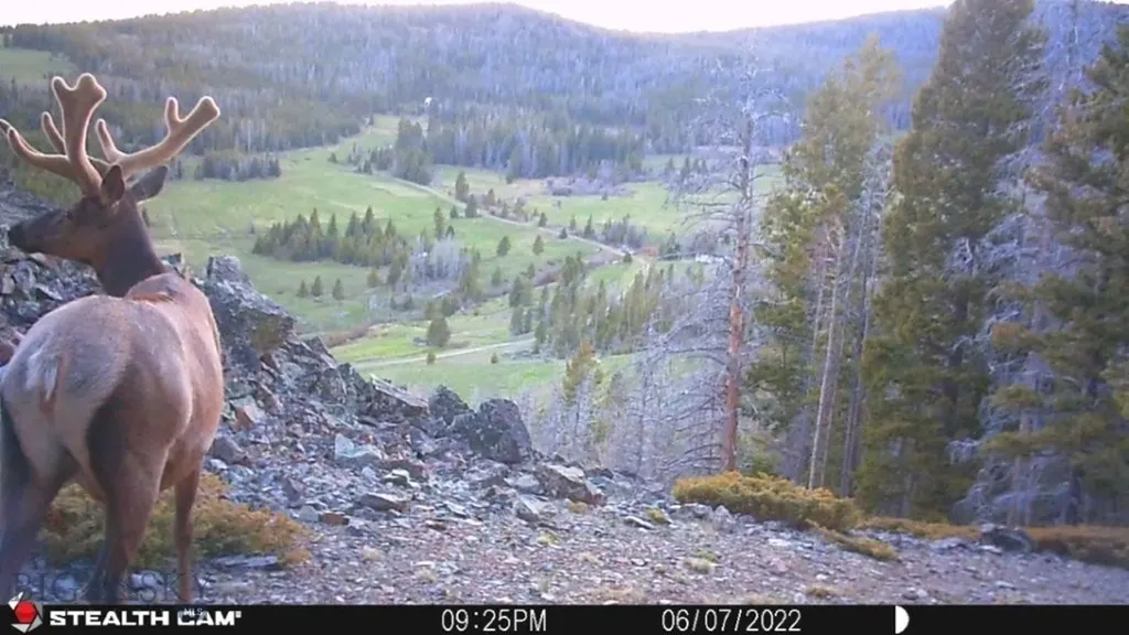Tbd Indian Creek Road Townsend MT 59644