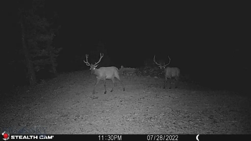 Tbd Indian Creek Road Townsend MT 59644