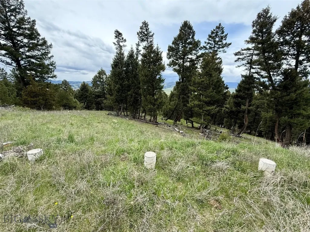 130 Granite Road Philipsburg MT 59858