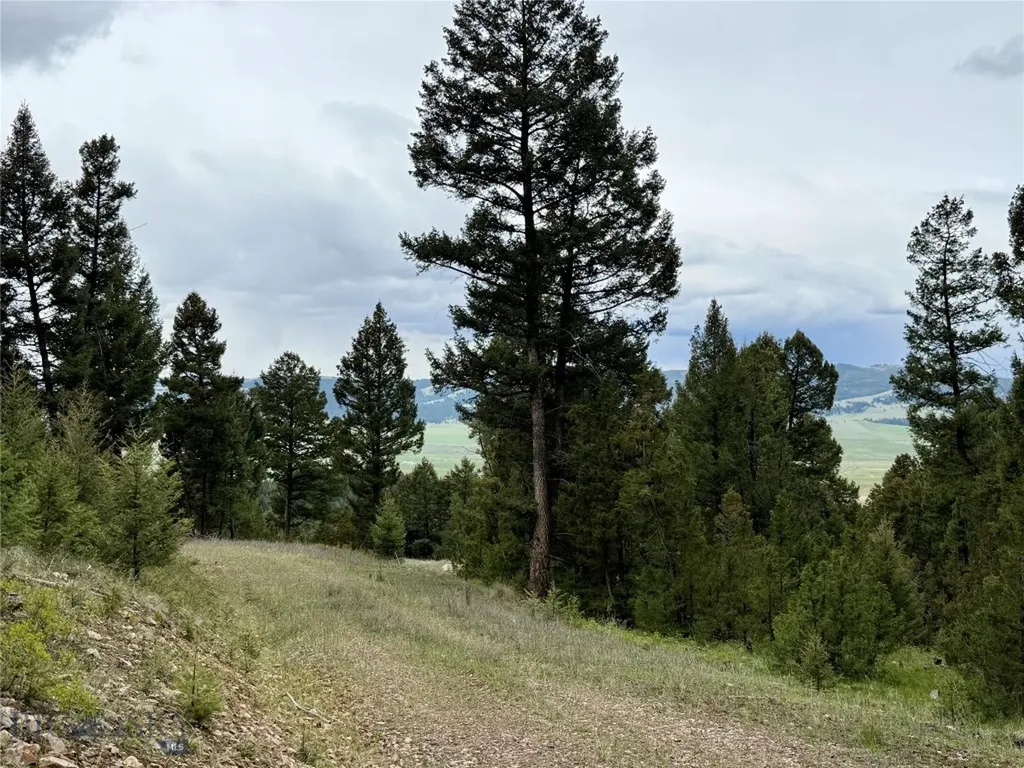 130 Granite Road Philipsburg MT 59858