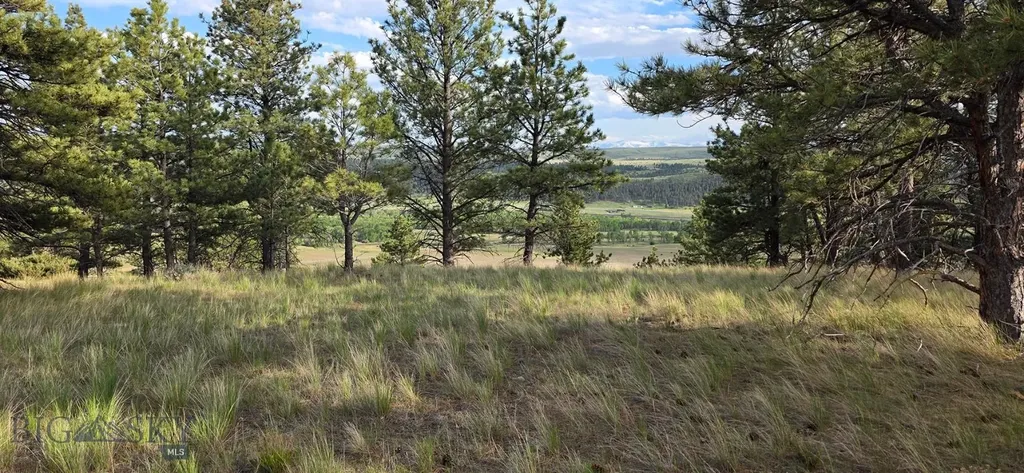 215 Shanks Basin Road Big Timber MT 59011