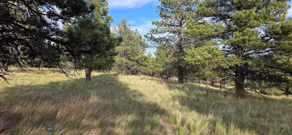 215 Shanks Basin Road Big Timber MT 59011