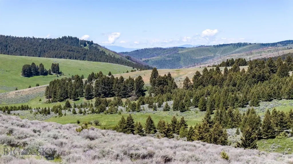 100 Cougar Trail Townsend MT 59645