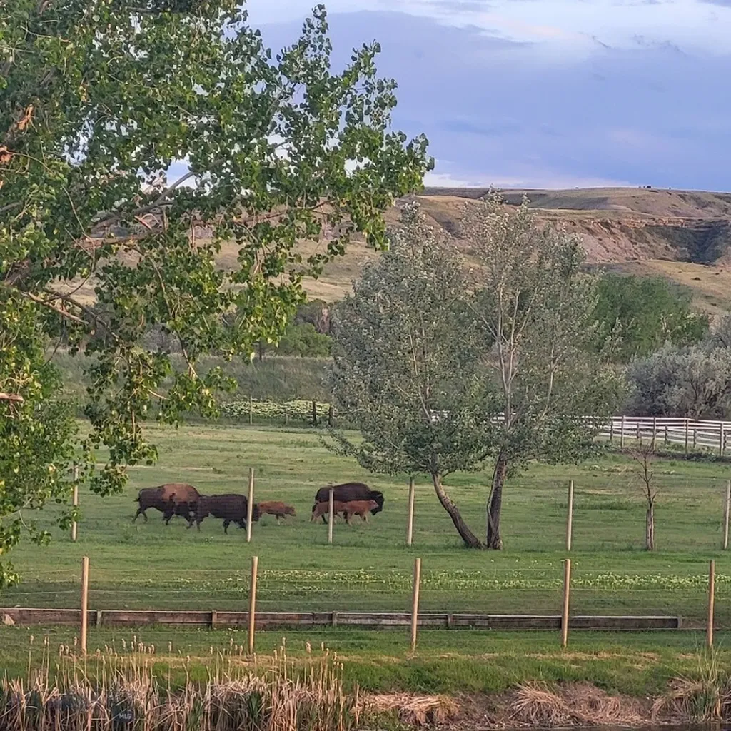 1140 5th Avenue Vaughn MT 59487