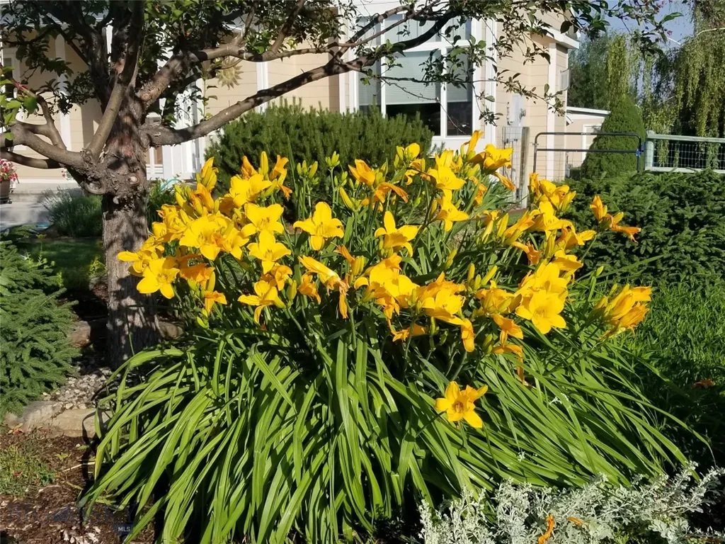 153 Pathfinder Trail Bozeman MT 59718