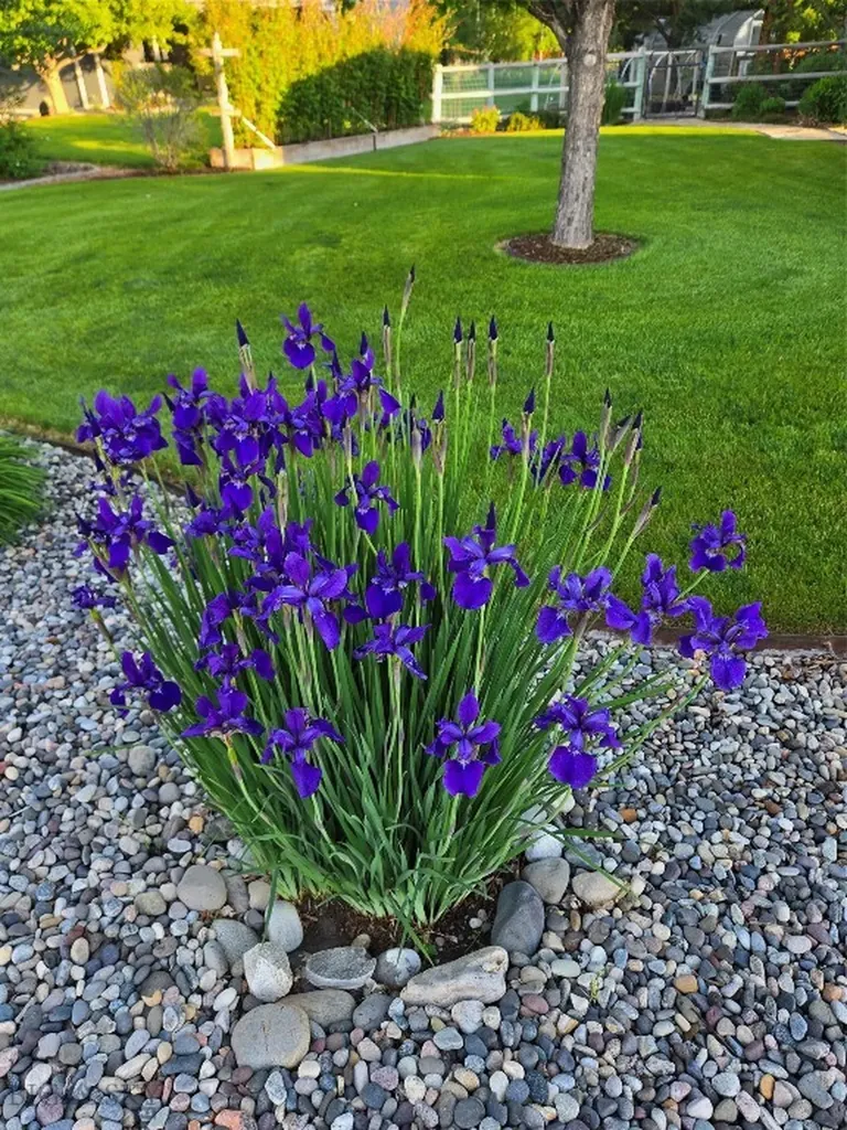 153 Pathfinder Trail Bozeman MT 59718