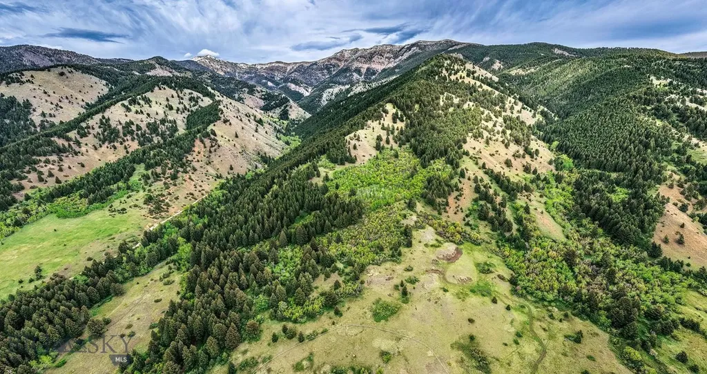 9440 Saddle Mountain Road Bozeman MT 59715