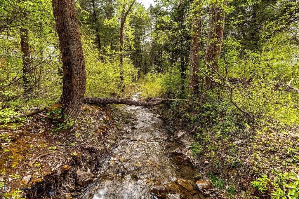 9440 Saddle Mountain Road Bozeman MT 59715
