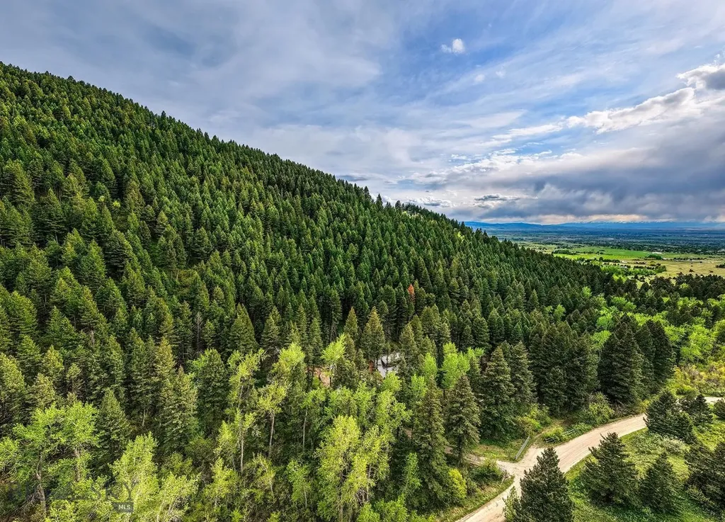 9440 Saddle Mountain Road Bozeman MT 59715