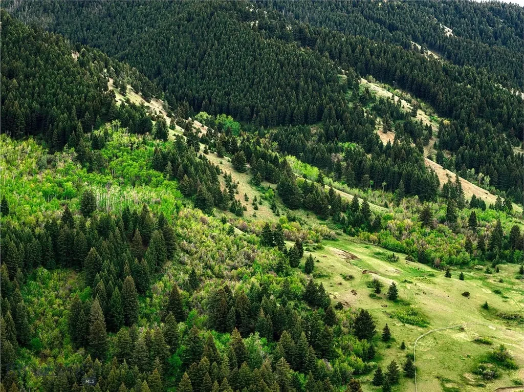 9440 Saddle Mountain Road Bozeman MT 59715