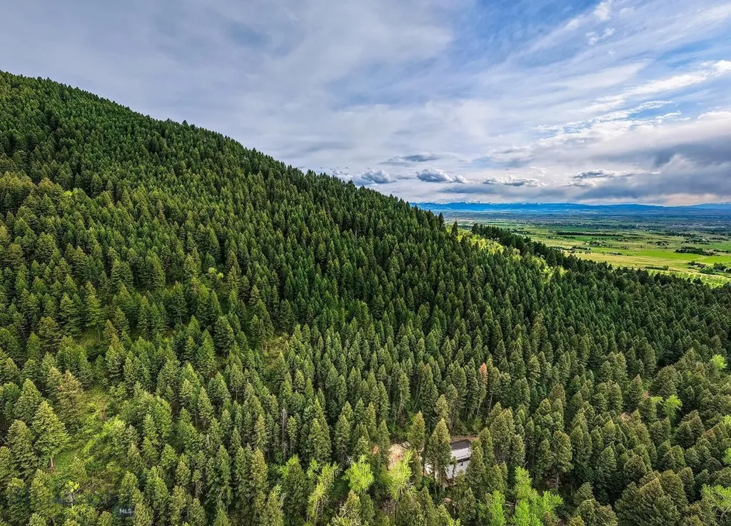 9440 Saddle Mountain Road Bozeman MT 59715
