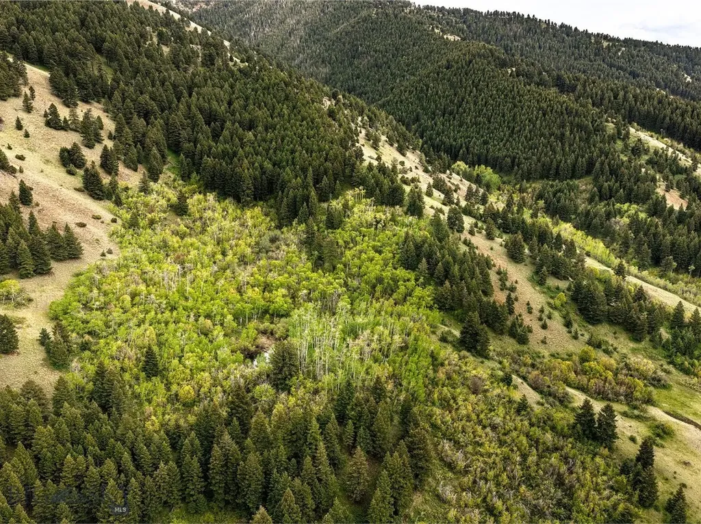 9440 Saddle Mountain Road Bozeman MT 59715