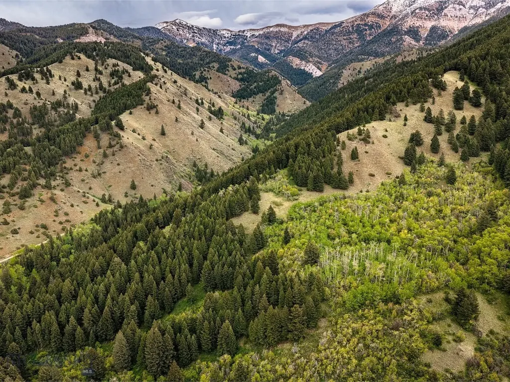 9440 Saddle Mountain Road Bozeman MT 59715