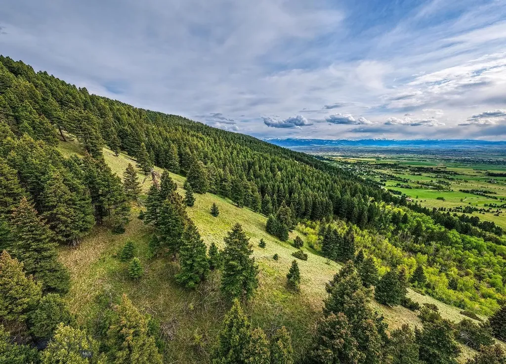 9440 Saddle Mountain Road Bozeman MT 59715
