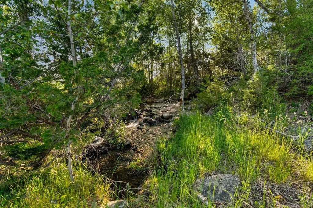 1580 Evan Reese Creek Road Belgrade MT 59714