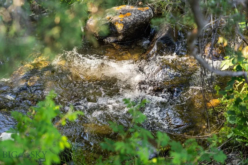 1580 Evan Reese Creek Road Belgrade MT 59714