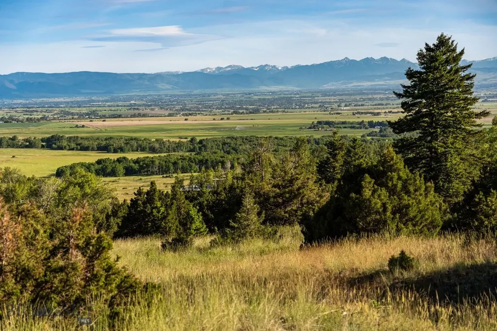1580 Evan Reese Creek Road Belgrade MT 59714